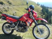 1995 Kawasaki KLR 650 photo
